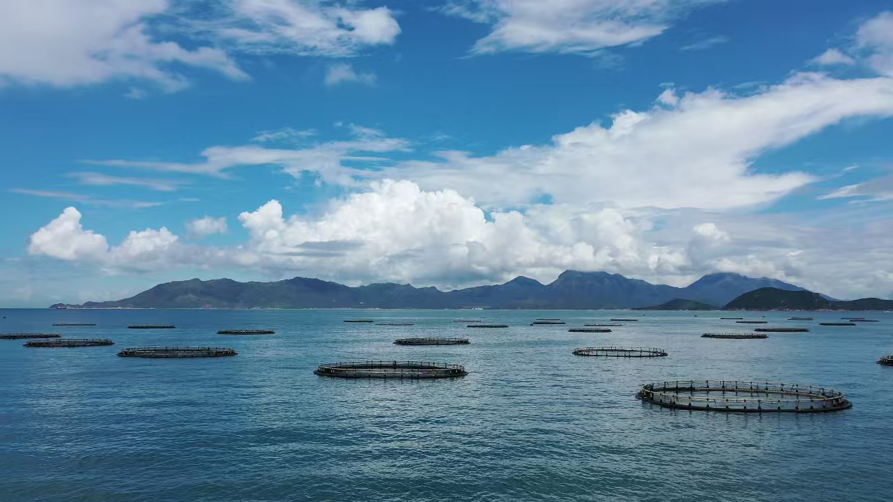 远洋渔业领先企业 安全健康海洋产品